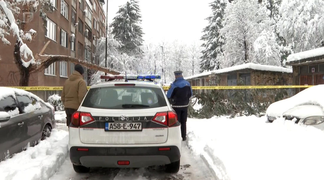 Formiran predmet zbog smrti žene na koju je palo stablo na Grbavici