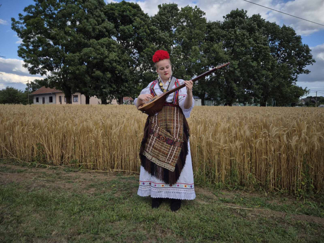 Šargijo drvena