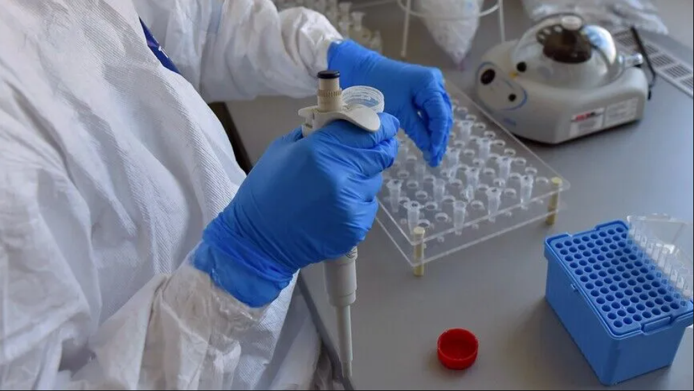 Virus Zapadnog Nila potvrđen kod uginulih vrana u Sloveniji