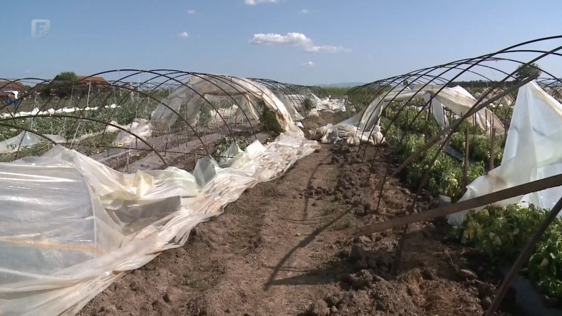 Proizvođači u Semberiji zbrajaju štete nakon olujnog nevremena, trebaju pomoć nadležnih