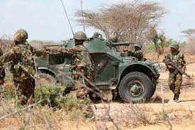 Ubijeno 39 članova terorističke organizacije Al-Shabaab u Somaliji