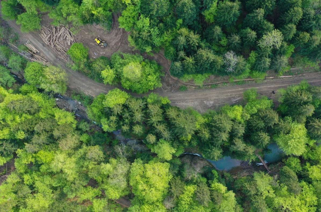 Korupcija najizraženija je u zaštiti šuma i prirodnog naslijeđa