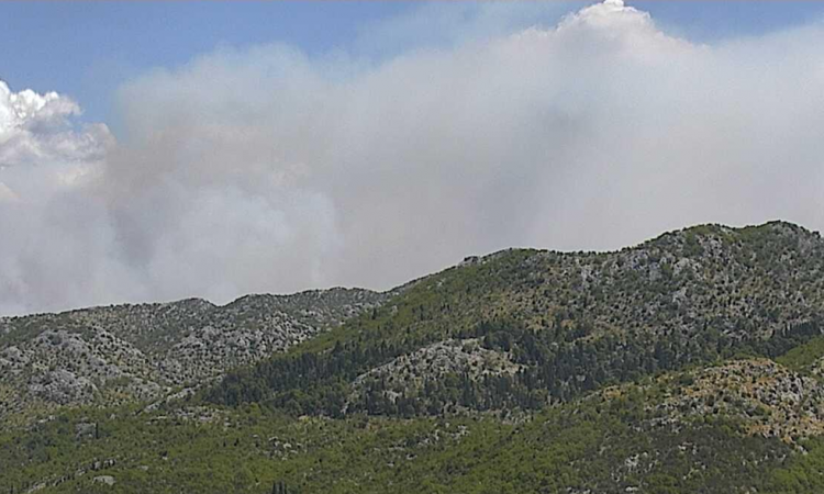 Požar iz BiH prešao na područje Hrvatske