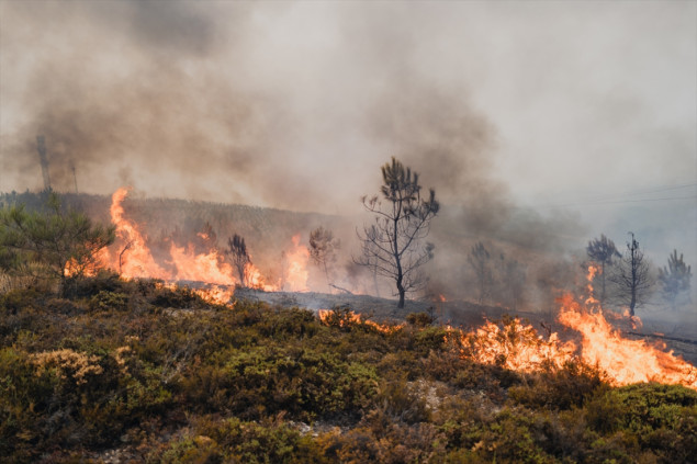 Španija i Portugal se bore s raširenim šumskim požarima, poginulo šest osoba