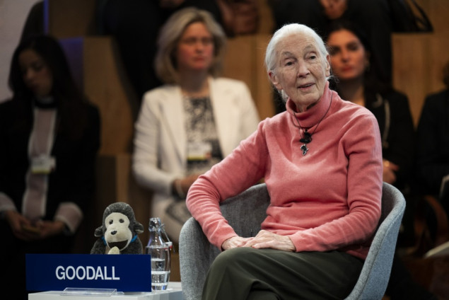 Jane Goodall u posljednjem intervjuu: Trumpa, Muska, Putina i Netanyahua poslala bih u svemir