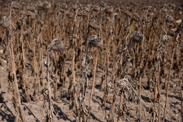 Ljeto 2025. među najsušnijim i najtoplijim ljetima u Bugarskoj od sredine 20. vijeka