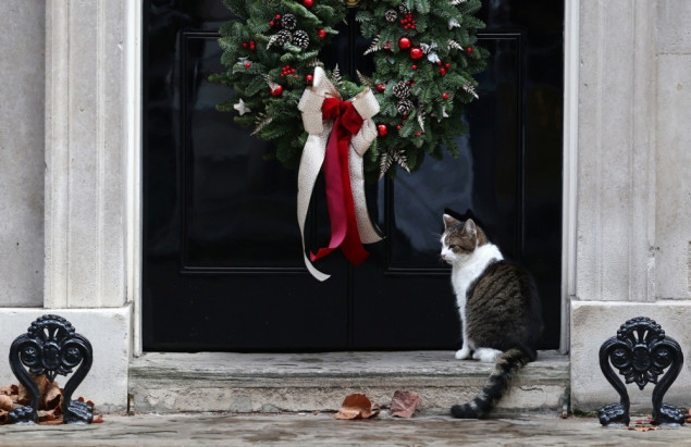 Od miša do zvijezde - Larry, mačak iz Downing Streeta, osvaja i TV publiku