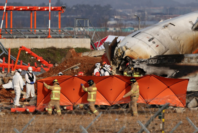 Potvrđena smrt 179 osoba u avionskoj nesreći u Južnoj Koreji