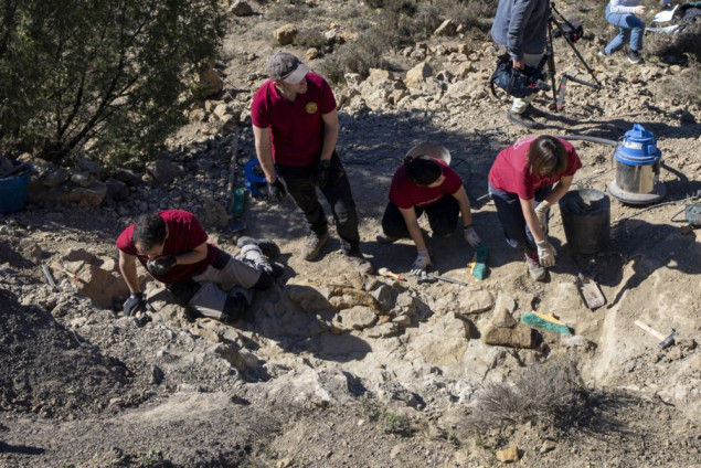 Najduži fosil butne kosti tiranosaurusa u Aziji pronađen u istočnoj Kini