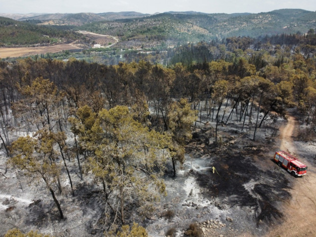 Šumski požari kod Jerusalema pod kontrolom