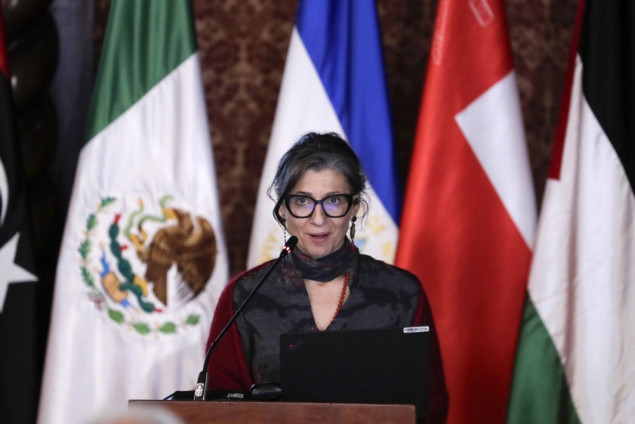 Specijalna izvjestiteljica UN-a: Hamas je politička snaga, pobijedio na izborima