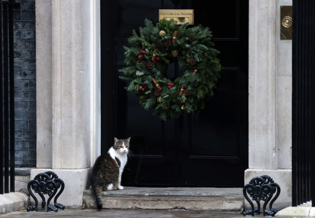 Mačak Larry proslavlja 15 godina života u Downing Streetu