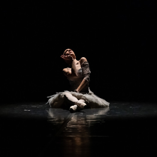 Baletna predstava "Panta Rhei" NP Sarajevo na sceni BNP-a Zenica