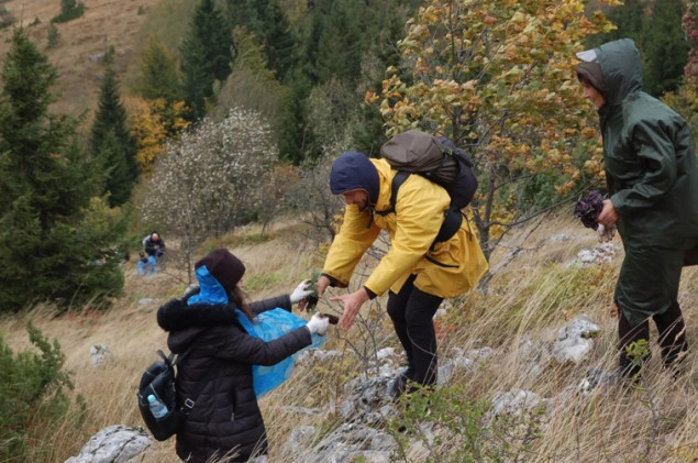 Let’s Do It tim i ove godine organizirao velike akcije pošumljavanja