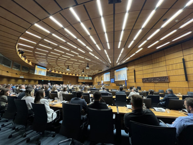U Beču održana međunarodna konferencija povodom obilježavanja Međunarodnog dana sjećanja na genocid u Srebrenici