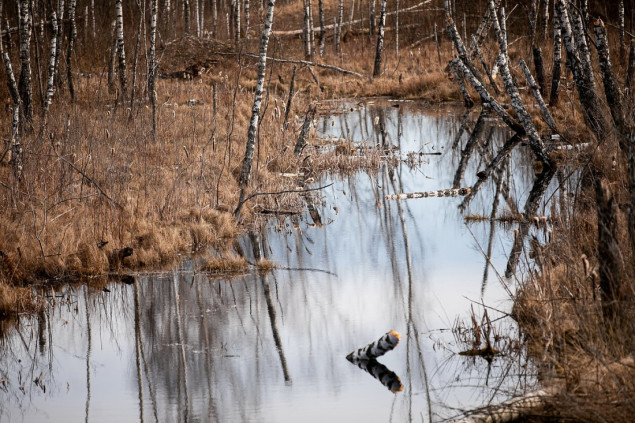 Litvanija planira rekordnih 5,38 posto BDP-a za odbranu sljedeće godine