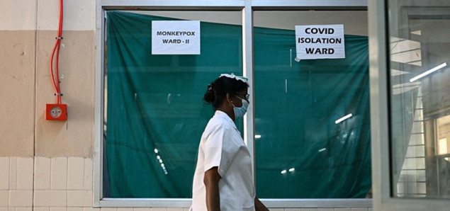 Indija istražuje sumnjivi slučaj majmunskih boginja