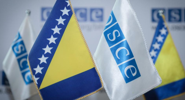 OSCE zabrinut zbog pravnog postupka protiv Nataše Miljanović-Zubac