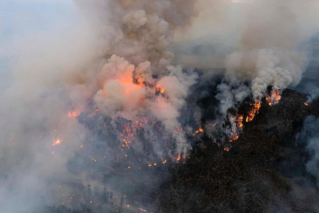 Šumski požari bjesne u sedam argentinskih provincija