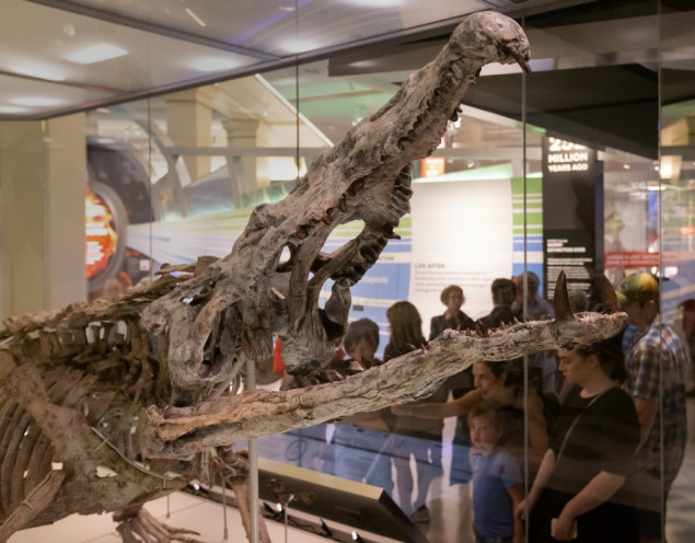 Otkriven fosil star 200 miliona godina iz jurskog perioda na sjeverozapadu Indije