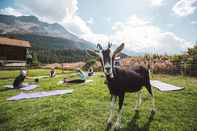 Čamac sa saunom i joga s kozama - ponude za jesenji turizam u Švicarskoj