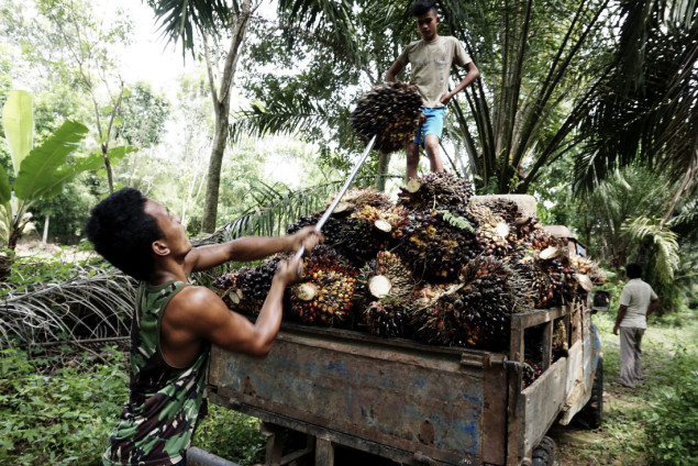 Indonezija i Malezija dogovorile zajedničku borbu protiv 'diskriminacije' palminog ulja