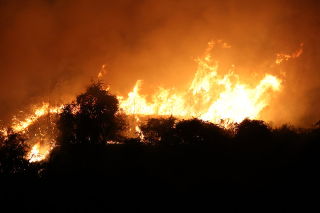 Italija: Šumski požari pustoše Siciliju