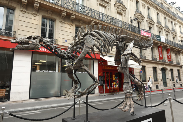 Francuska: Skelet Camptosaurusa "Barry" izložen pred aukciju u Parizu