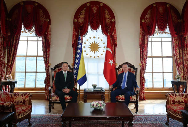 Erdogan se sastao s Bećirovićem u Istanbulu