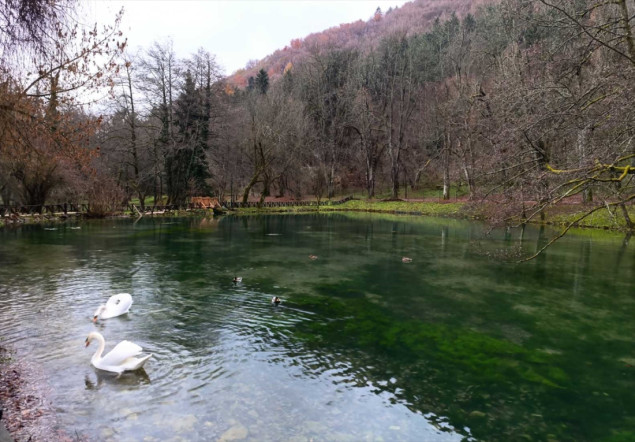 Biser prirode: Vrelo Bosne u bojama jeseni