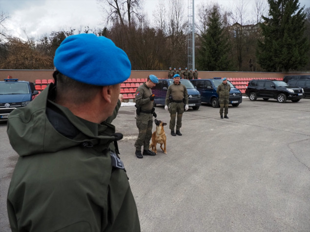 Policijski pas Rea - najbolji tragač za eksplozivom u BiH