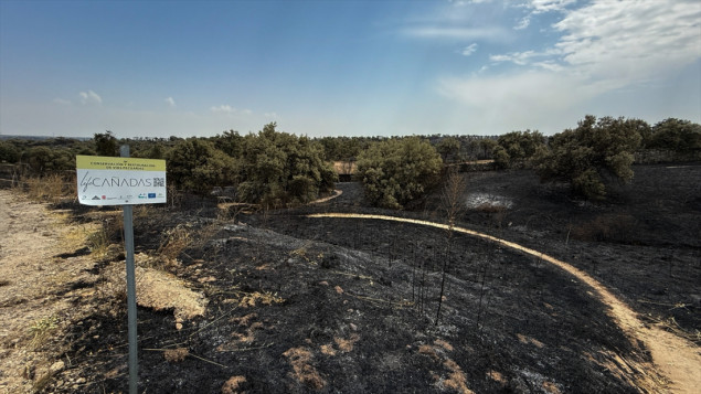 Ekstremni toplotni valovi i požari i dalje pogađaju južnu Evropu