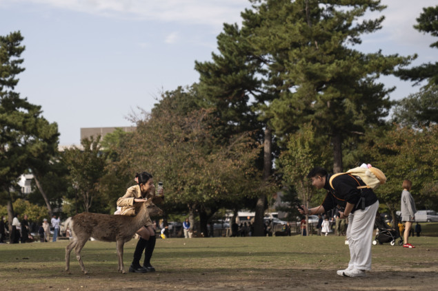 Park Nara i njegovi sika jeleni: Kulturni simbol Japana