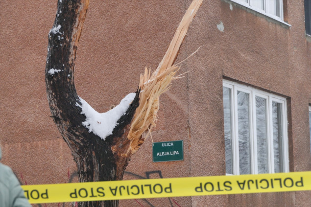 U Sarajevu preminula žena na koju je jutros palo stablo
