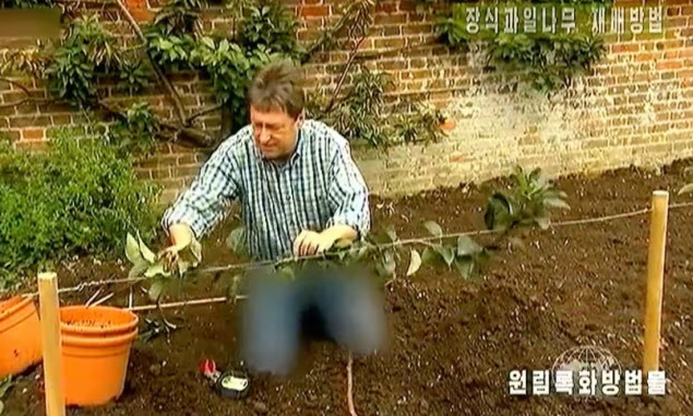 Sjeverna Koreja voli seriju o vrtlarstvu ali ne i voditeljeve farmerke