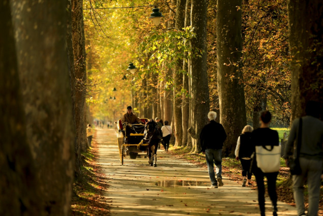 Jesen u dvije najljepše aleje u Sarajevu
