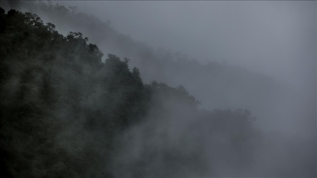 Amazon bilježi najveći nivo krčenja u posljednjih 15 godina