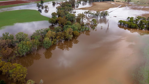Poplave na jugoistoku Australije: Stotine evakuisanih, spašeno 38 osoba