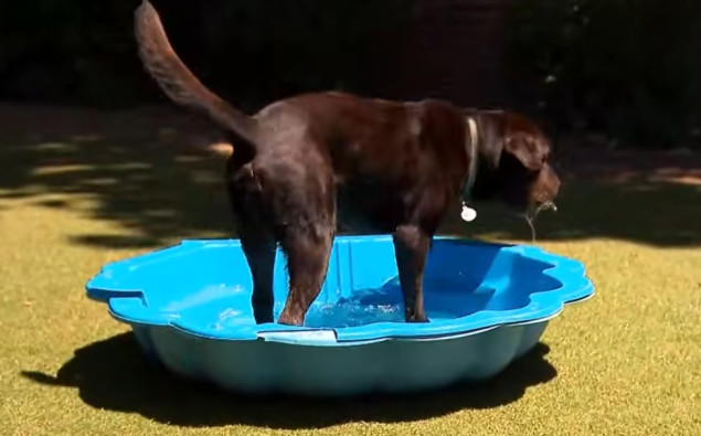 Australija izdala upozorenje na evakuaciju, jer toplotni val podstiče požare u južnim regijama