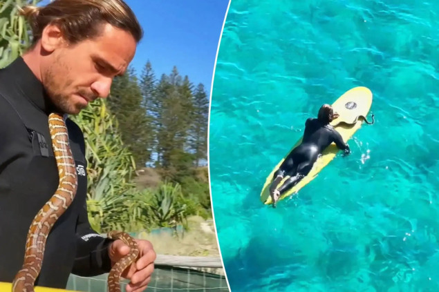 Australijanac kažnjen zbog surfovanja sa pitonom oko vrata