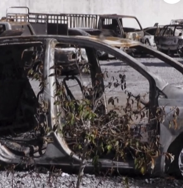 Pakistanske snage sigurnosti ubile 200 separatističkih pobunjenika