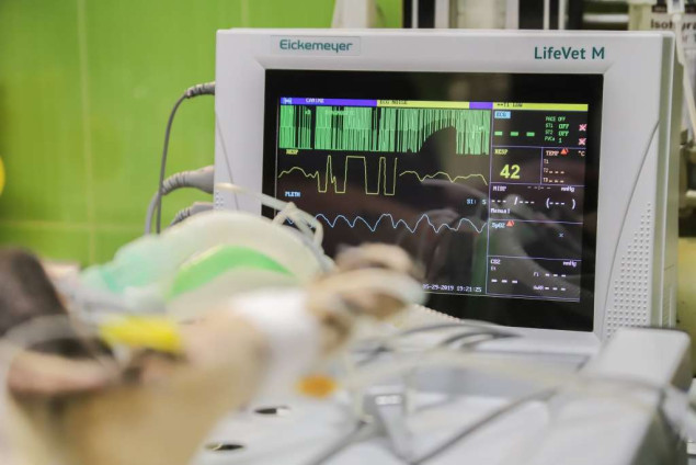 U Beču počela upotreba manjih, a naprednijih pejsmejkera bez elektroda