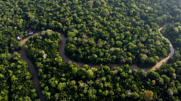 Suša u brazilskoj Amazoniji opasnost za 500 hiljada ljudi