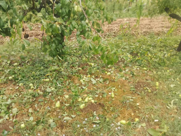 Snažno nevrijeme u Brčkom, grad veličine oraha oštetio krovove, vozila i poljoprivredne usjeve