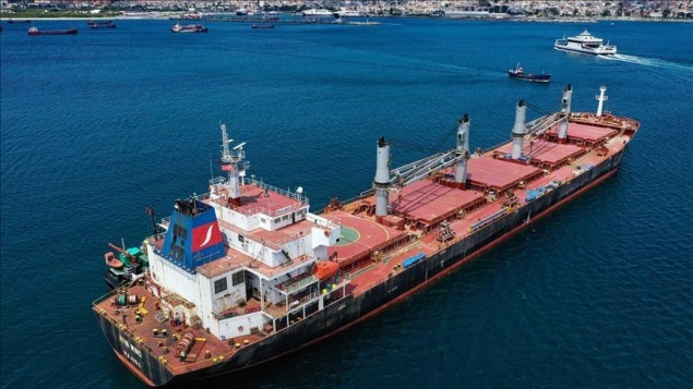 Crnomorskim žitnim koridorom prevezeno više od 30,5 miliona tona žitarica