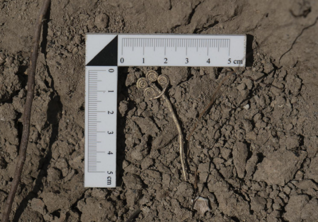 Pronađen zlatni broš star 4.500 godina i rijedak žad u drevnoj Troji u Turskoj