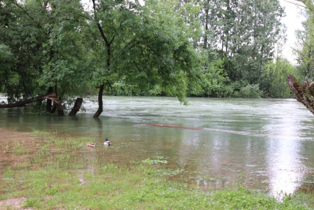 Buna se blago izlila na cestu, poplavljeno Trebižatsko polje
