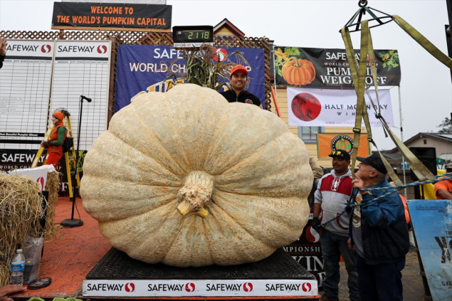 Na festivalu izložena bundeva teška 1.161 kilogram