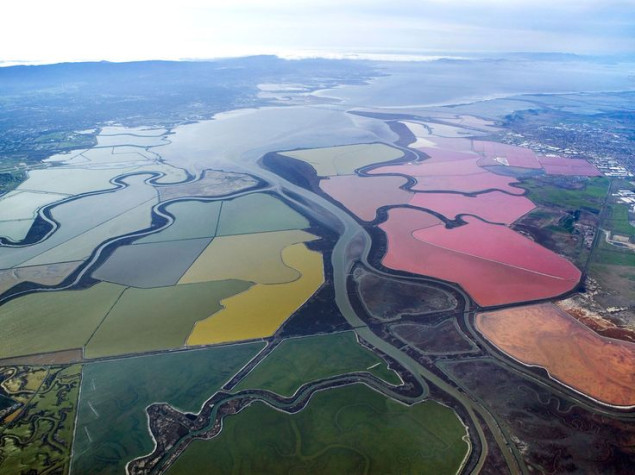 Slana jezera u zaljevu San Francisco