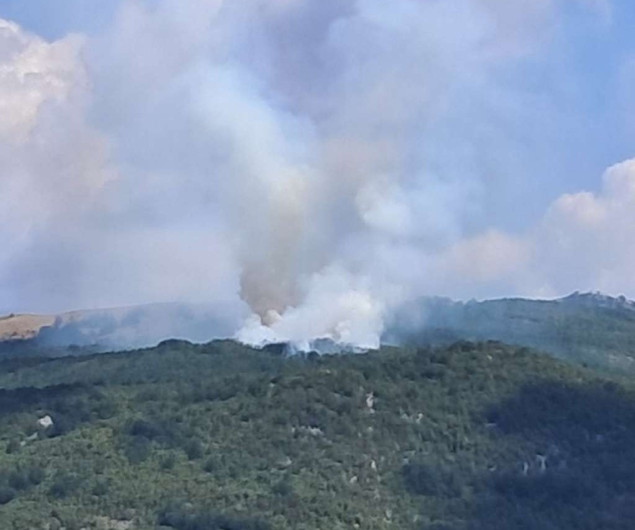 Crna Gora: Novi požar iznad Lukova, stigao avion iz UAE za gašenje